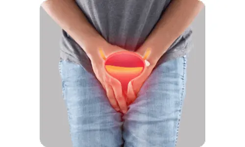 PROSTATE MULTIPHASE SUPPORT